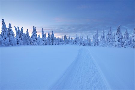 path not people not building not city - Kuusamo, Northern Ostrobothnia, Oulu Province, Finland Foto de stock - Sin royalties Premium, Código: 600-05609969