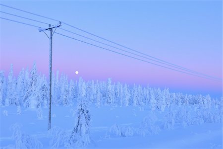 pleine lune - Kuusamo, Ostrobotnie du Nord, la Province d'Oulu, Finlande Photographie de stock - Premium Libres de Droits, Code: 600-05609986
