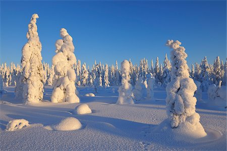 Kuusamo, Ostrobotnie du Nord, la Province d'Oulu, Finlande Photographie de stock - Premium Libres de Droits, Code: 600-05609989