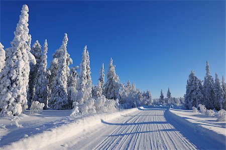 forest with blue sky - Road, Kuusamo, Northern Ostrobothnia, Oulu Province, Finland Stock Photo - Premium Royalty-Free, Code: 600-05609996