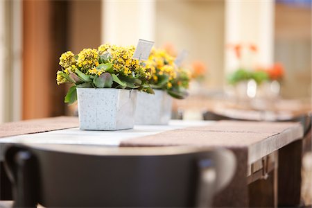 Kalanchoe on Table, Ontario, Canada Foto de stock - Sin royalties Premium, Código: 600-05602733