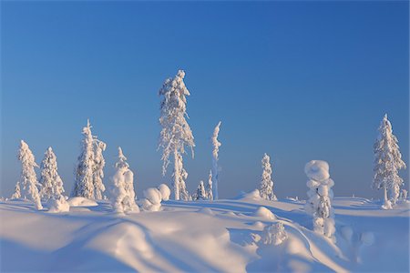 simsearch:600-05610022,k - Snow Covered Landscape, Nissi, Northern Ostrobothnia, Finland Stock Photo - Premium Royalty-Free, Code: 600-05610014