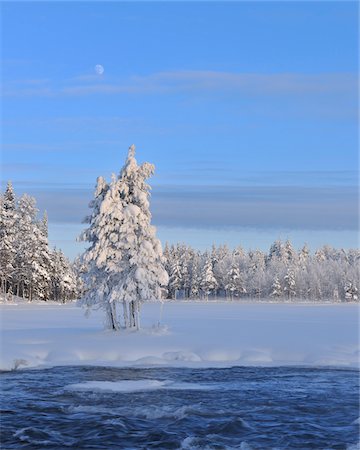 Kitkajoki River and Snow Covered Trees, Kuusamo, Northern Ostrobothnia, Finland Foto de stock - Sin royalties Premium, Código: 600-05610028