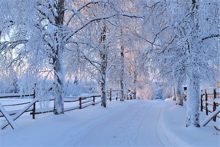 Snow Covered Road, Ostrobotnie du Nord, Kuusamo, Finlande Photographie de stock - Premium Libres de Droits, Code: 600-05610044