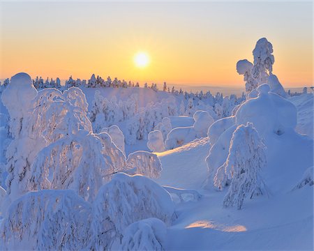 snowy sun nobody - Snow Covered Trees at Sunset, Rukatunturi, Kuusamo, Northern Ostrobothnia, Finland Stock Photo - Premium Royalty-Free, Code: 600-05610054