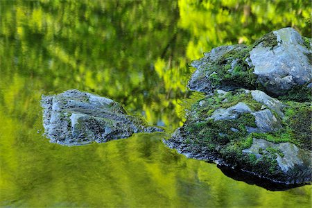 Stream, Harz National Park, Okertal, Oker, Lower Saxony, Germany Stock Photo - Premium Royalty-Free, Code: 600-05642054