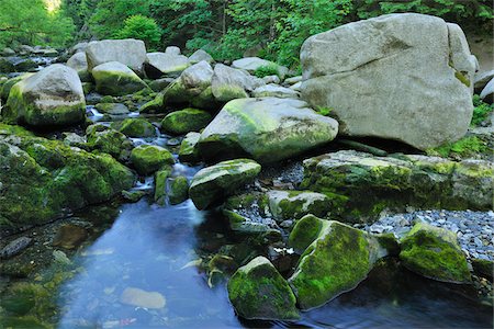 stream - Stream, Harz National Park, Okertal, Oker, Lower Saxony, Germany Stock Photo - Premium Royalty-Free, Code: 600-05642051