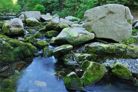 stream - Cours d'eau, Parc National du Harz, Okertal, Oker, Basse-Saxe, Allemagne Photographie de stock - Premium Libres de Droits, Code: 600-05642051