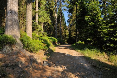 simsearch:600-05642064,k - Oderteich, Sankt Andreasberg, Goslar, Harz, Lower Saxony, Germany Foto de stock - Sin royalties Premium, Código: 600-05642062