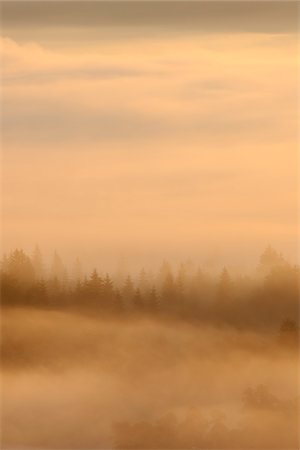 Morning Mist in Forest, Isar Valley, Wolfratshausen, Upper Bavaria, Bavaria, Germany Foto de stock - Sin royalties Premium, Código: 600-05762070