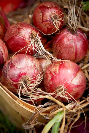 Close-up of Harvested Red Onions, Toronto, Ontario, Canada Foto de stock - Sin royalties Premium, Código: 600-05800654