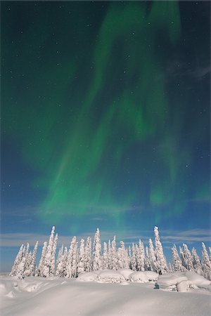 finlandia - Northern Lights, Nissi, Nordoesterbotten, Finland Foto de stock - Sin royalties Premium, Código: 600-05803186