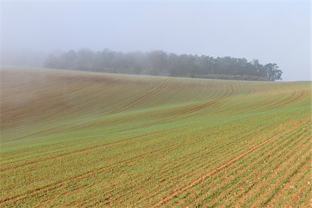 Sowed Field in Early Spring, Franconia, Bavaria, Germany Stock Photo - Premium Royalty-Free, Code: 600-05803189
