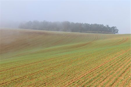 simsearch:600-01429121,k - Sowed Field in Early Spring, Franconia, Bavaria, Germany Foto de stock - Sin royalties Premium, Código: 600-05803189