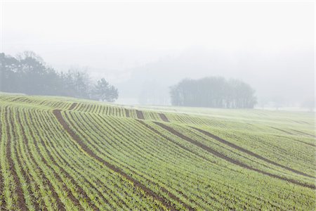 furrow - Sowed Field in Early Spring, Franconia, Bavaria, Germany Stock Photo - Premium Royalty-Free, Code: 600-05803190