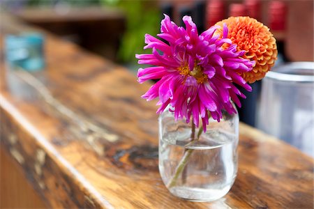 dahlia - Dahlias en Vase, Toronto, Ontario, Canada Photographie de stock - Premium Libres de Droits, Code: 600-05803280