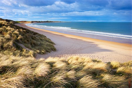 Grass Covered Dunes and Sandy Beach of Embleton Bay, Northumberland, England Foto de stock - Sin royalties Premium, Código: 600-05803635