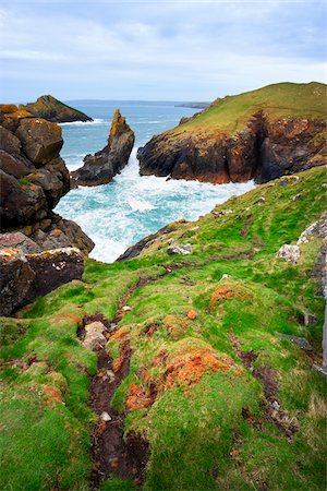 Foot Path along Grassy Slopes of Sea Cliffs, Rumps Point, Cornwall, England Foto de stock - Sin royalties Premium, Código: 600-05803644