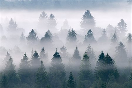 sinistre - Morning Mist, Isar Valley, Bad Tolz-Wolfratshausen, Upper Bavaria, Bavaria, Germany Foto de stock - Sin royalties Premium, Código: 600-05821936