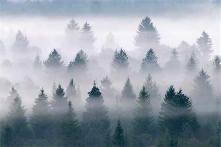 foggy (weather) - Morning Mist, vallée de l'Isar, Bad Tolz-Wolfratshausen, Haute Bavière, Bavière, Allemagne Photographie de stock - Premium Libres de Droits, Code: 600-05821936