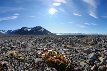 felsig - Mushamna, Woodfjorden, Spitzbergen, Svalbard, Norwegen Stockbilder - Premium RF Lizenzfrei, Bildnummer: 600-05822028