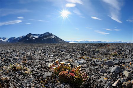 spitzbergen - Mushamna, Woodfjorden, Spitzberg, Svalbard, Norvège Photographie de stock - Premium Libres de Droits, Code: 600-05822028