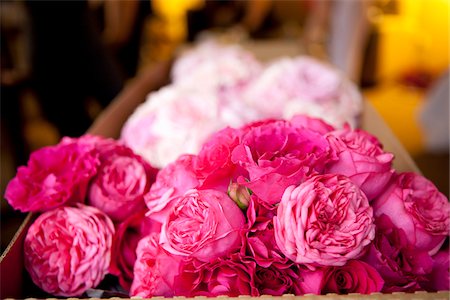 rose - Box of Flowers at Wedding Venue Stock Photo - Premium Royalty-Free, Code: 600-05822163