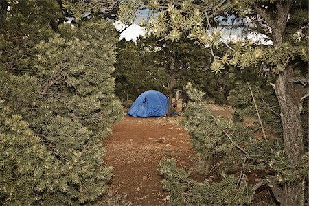 Campgrounds at Grand Canyon National Park, Arizona, USA Stock Photo - Premium Royalty-Free, Code: 600-05837317