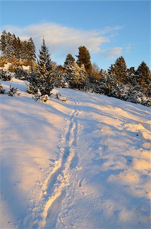 Paysage d'hiver près de Villingen-Schwenningen, forêt noire, Bade-Wurtemberg, Allemagne Photographie de stock - Premium Libres de Droits, Code: 600-05837467