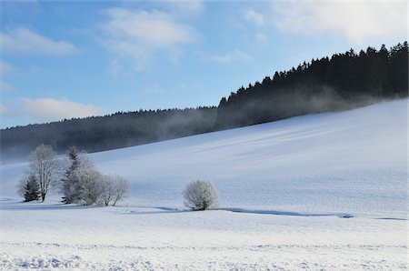 Hiver paysage, Mittelschollach, forêt noire, Bade-Wurtemberg, Allemagne Photographie de stock - Premium Libres de Droits, Code: 600-05837469
