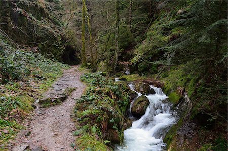 forest walk - Gottschlaegbach, Gottschlaegtal, Ottenhoefen, Black Forest, Baden-Wurttemberg, Germany Stock Photo - Premium Royalty-Free, Code: 600-05837470
