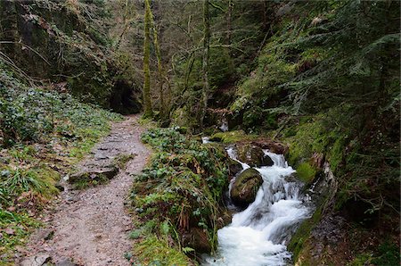 rocky river - Gottschlaegbach, Gottschlaegtal, Ottenhoefen, Black Forest, Baden-Wurttemberg, Germany Stock Photo - Premium Royalty-Free, Code: 600-05837470