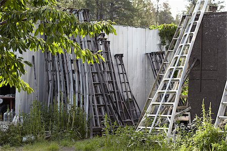 Orchard Ladders, Cawston, Similkameen Country, British Columbia, Canada Stock Photo - Premium Royalty-Free, Code: 600-05855159