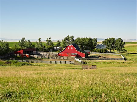 red barn in field - Farm, Pincher Creek, Alberta, Canada Stock Photo - Premium Royalty-Free, Code: 600-05855358