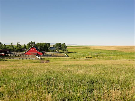 Farm, Pincher Creek, Alberta, Canada Stock Photo - Premium Royalty-Free, Code: 600-05855359