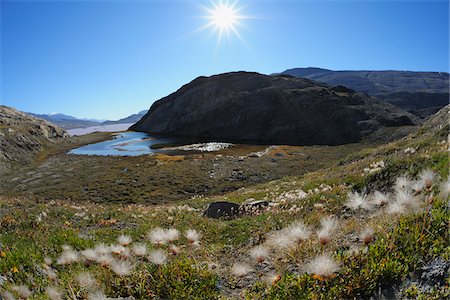 Blomsterbugten, Kejser Franz-Joseph-Fjord, Grönland Stockbilder - Premium RF Lizenzfrei, Bildnummer: 600-05947739