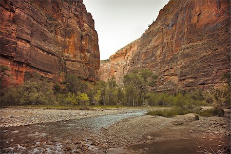 stratum - Riverside Walk, Zion National Park, Utah, USA Stock Photo - Premium Royalty-Free, Code: 600-05972992