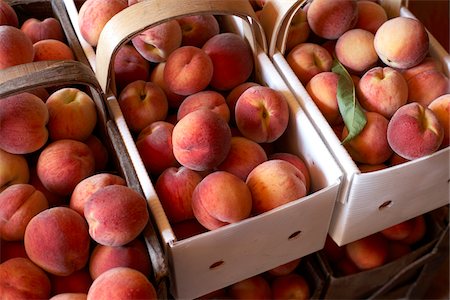 fruit in farm pick - Fresh Harvested Peaches in Baskets, Hipple Farms, Beamsville, Ontario, Canada Stock Photo - Premium Royalty-Free, Code: 600-05973023