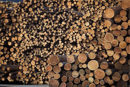 Logs, Merritt, Nicola Country, British Columbia, Canada Foto de stock - Sin royalties Premium, Código: 600-05973356