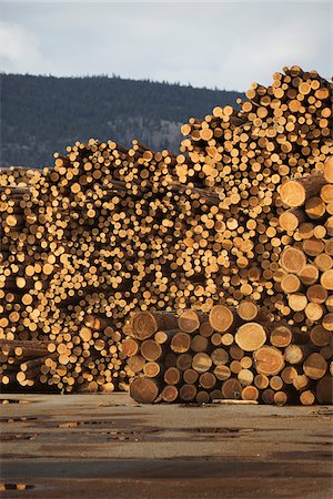 deforestación - Logs, Merritt, Nicola Country, British Columbia, Canada Foto de stock - Sin royalties Premium, Código: 600-05973357