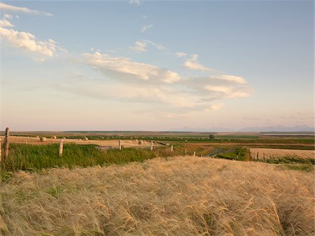 Vue d'ensemble des terres agricoles, Pincher Creek, Alberta, Canada Photographie de stock - Premium Libres de Droits, Code: 600-05973407