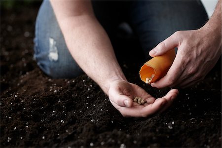 simsearch:700-03596226,k - Man Planting Nasturtium Seeds in Garden Foto de stock - Sin royalties Premium, Código: 600-05973623