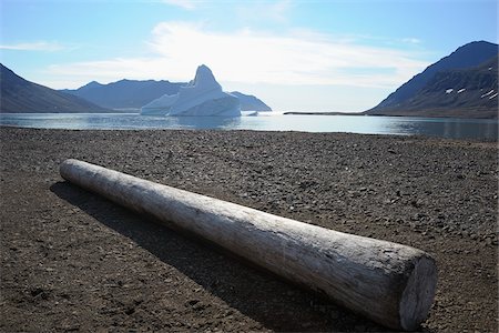 Tronc d'arbre sur la plage, Romer Fjord, East Greenland, Groenland Photographie de stock - Premium Libres de Droits, Code: 600-06009047