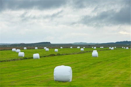 Bales of Hay, Varmaland, Vesturland, Iceland Stock Photo - Premium Royalty-Free, Code: 600-06009073