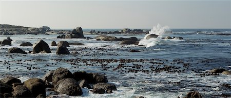 place of south africa - Seashore and Indian Ocean, South Africa Stock Photo - Premium Royalty-Free, Code: 600-06009237