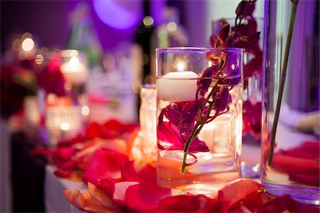 dekoration - Kernstück bei Hochzeit, Toronto, Ontario, Kanada Stockbilder - Premium RF Lizenzfrei, Bildnummer: 600-06037834