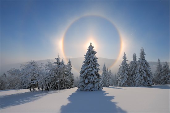 Halo and Snow Covered Trees, Fichtelberg, Ore Mountains, Saxony, Germany Foto de stock - Sin royalties Premium, Artista: Martin Ruegner, Código de la imagen: 600-06038304