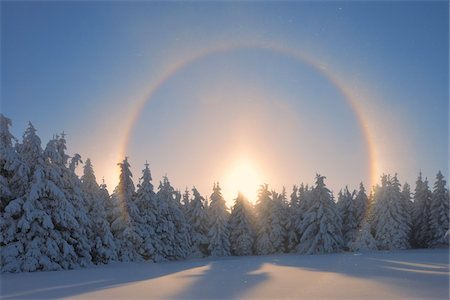 Halo and Snow Covered Trees, Fichtelberg, Ore Mountains, Saxony, Germany Stock Photo - Premium Royalty-Free, Code: 600-06038302