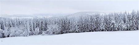 panoramic winter tree landscape - Snow Covered Forest, Rhoen, Rhon Mountains, Hesse, Germany Stock Photo - Premium Royalty-Free, Code: 600-06038315