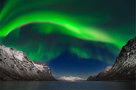 skies in snow - Northern Lights near Tromso, Troms, Norway Stock Photo - Premium Royalty-Free, Code: 600-06038349